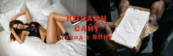 сатива Горно-Алтайск