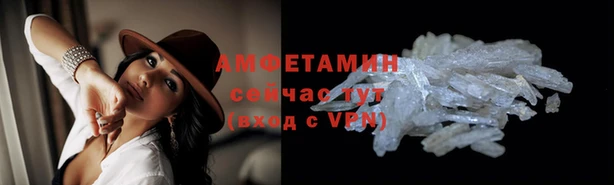ГАЛЛЮЦИНОГЕННЫЕ ГРИБЫ Абаза