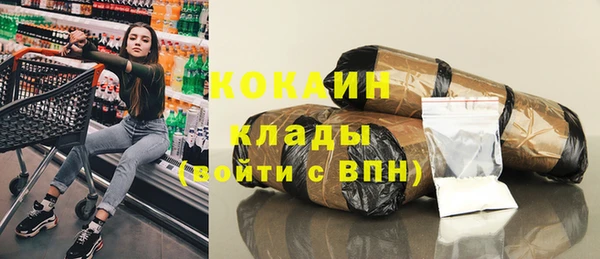 ГАЛЛЮЦИНОГЕННЫЕ ГРИБЫ Абаза