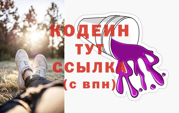 ГАЛЛЮЦИНОГЕННЫЕ ГРИБЫ Абаза