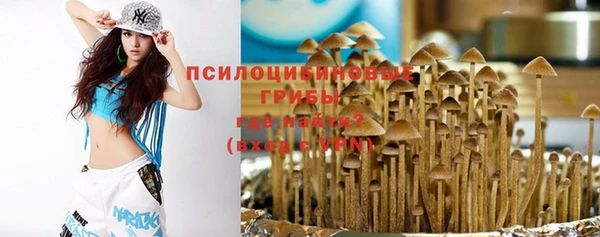 ГАЛЛЮЦИНОГЕННЫЕ ГРИБЫ Абаза