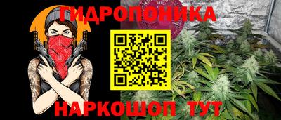индика Мариинск