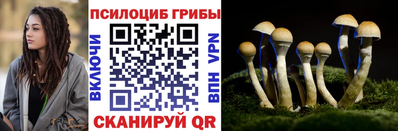 Псилоцибиновые грибы GOLDEN TEACHER  Димитровград 