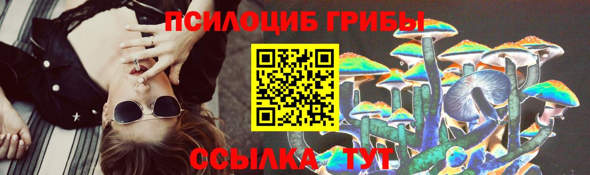 Димитровград  Псилоцибиновые грибы прущие грибы  Псилоцибиновые грибы мицелий  Вход с VPN 