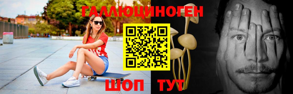 Галлюциногенные грибы Magic Shrooms Димитровград